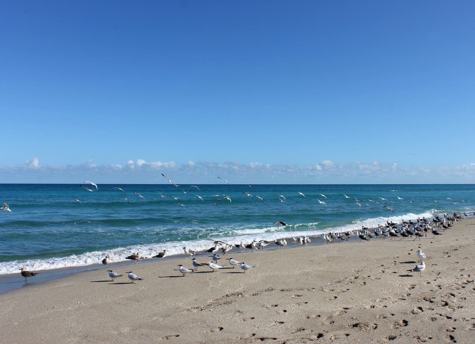 Lost Tree Village in Palm Beach